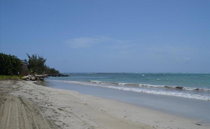 Ocho Rios Under The Palms别墅 外观 照片