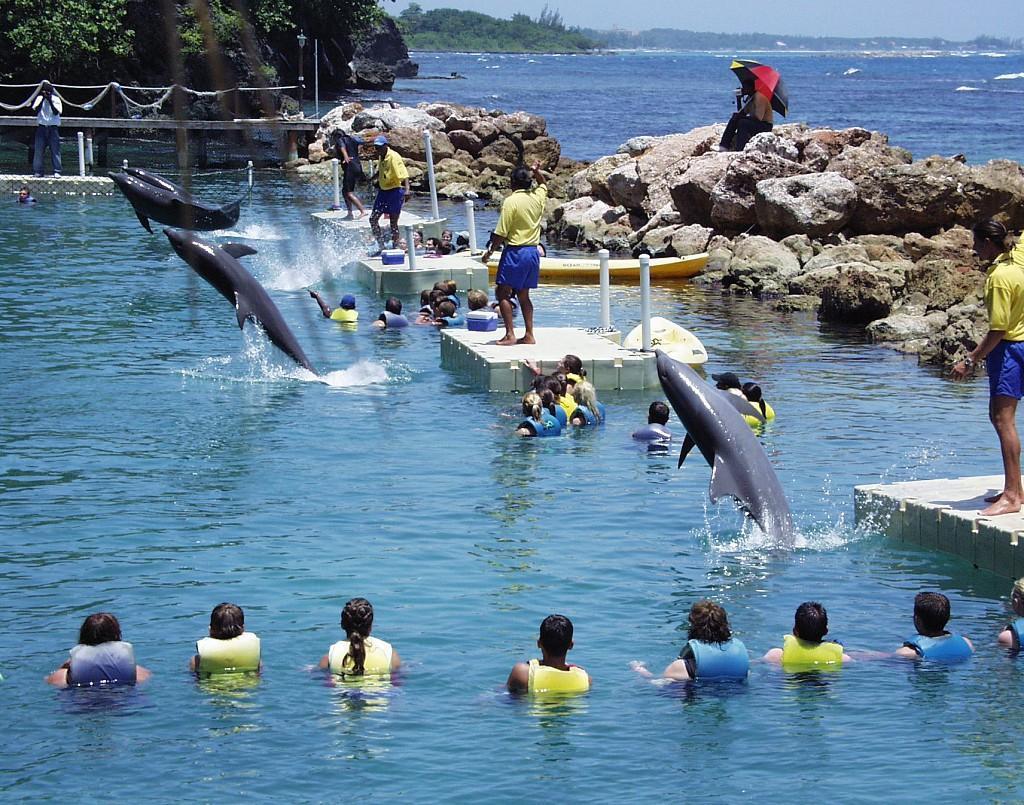 Ocho Rios Under The Palms别墅 外观 照片