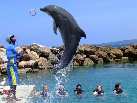 Ocho Rios Under The Palms别墅 外观 照片