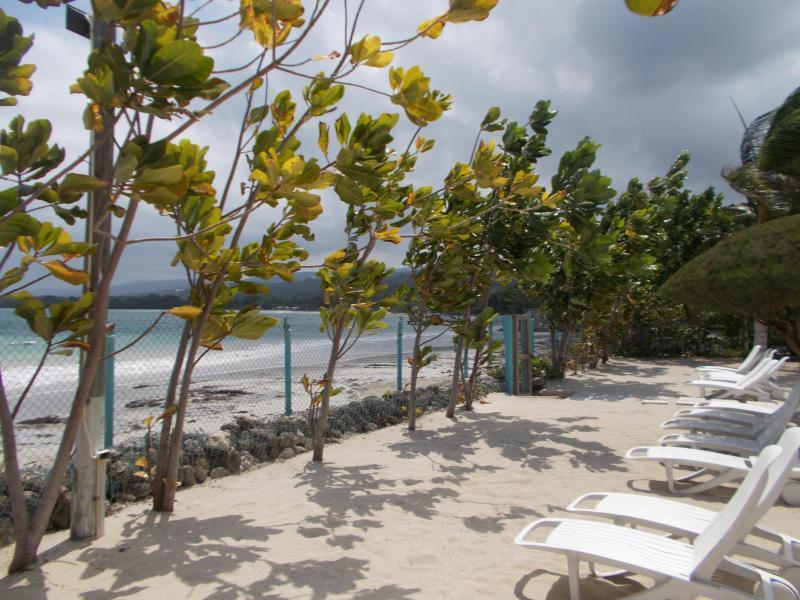 Ocho Rios Under The Palms别墅 外观 照片