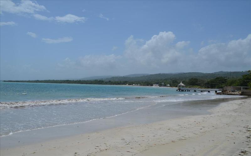 Ocho Rios Under The Palms别墅 外观 照片